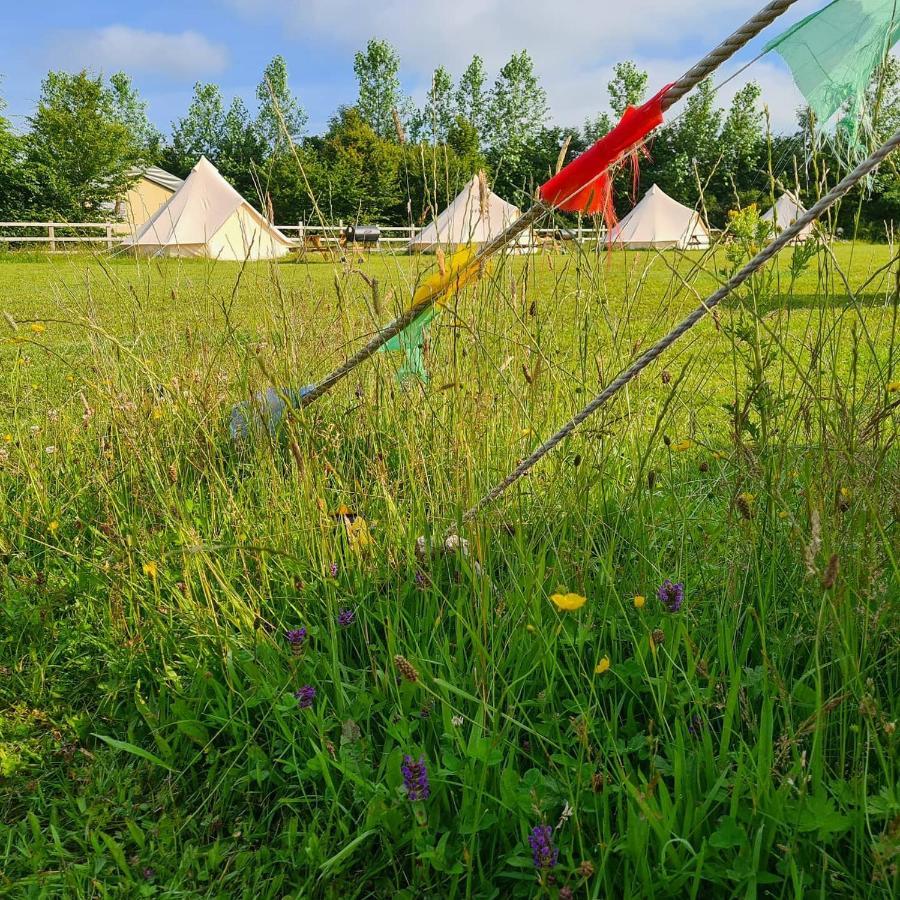 Bell Tent Glamping At Marwell Resort Winchester Eksteriør bilde