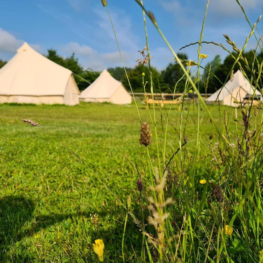 Bell Tent Glamping At Marwell Resort Winchester Eksteriør bilde